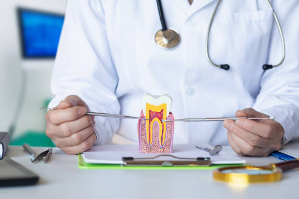 Best Urgent Dental Care in Montague, MI